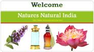 How To Use Organic Oils Effectively?
