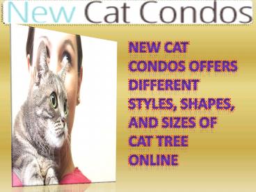 New Cat Condos Offers Different Styles, Shapes, and Sizes of Cat Tree Online