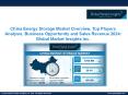 China Energy Storage Market Research Findings, Market Growth Factors Analysis and Forecasts 2024 PowerPoint PPT Presentation