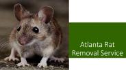 Atlanta Rat Removal Service
