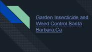 Pest Control for Garden Plants
