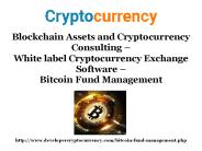 Blockchain Assets and Cryptocurrency Consulting