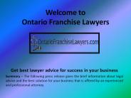 Franchise Agreement and Contract Lawyer