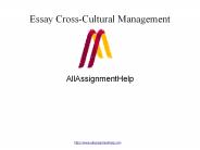 Essay Cross-Cultural Management