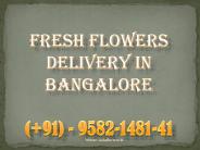 Fresh Flowers Delivery In Bangalore | 9582-1481-41