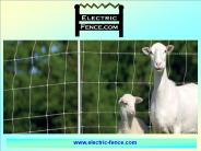 High Tensile Fencing