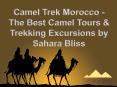 Camel Trek Morocco - The Best Camel Tours & Trekking Excursions by Sahara Bliss PowerPoint PPT Presentation