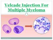 Velcade Injection For Multiple Myeloma