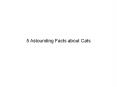 Amazing Facts about Cats PowerPoint PPT Presentation