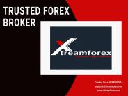 Best Online Trading Company