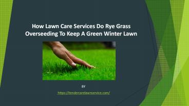 Lawn Care Company