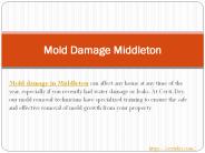 Mold Damage Middleton