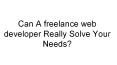 Can A freelance web developer Really Solve Your Needs? PowerPoint PPT Presentation