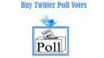 Get Twitter Poll Votes for Levelling Up your Business PowerPoint PPT Presentation