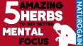 5 Amazing Herbs to Get Better Mental Focus with 100% Effective Result PowerPoint PPT Presentation