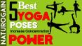 Increase Concentration Power: 5 (BEST) Yoga Poses, Foods PowerPoint PPT Presentation