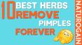 10 Best Herbs to Remove Pimples and Blackheads Forever PowerPoint PPT Presentation