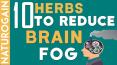 10 Best Herbs to Reduce Brain Fog, Improve Clarity Naturally PowerPoint PPT Presentation