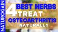 4 Best Herbs to Treat Osteoarthritis, Degenerative Joint Disease Naturally PowerPoint PPT Presentation