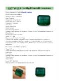 13.77 CT GIA Certified Emerald Gemstone