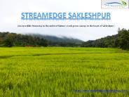 Best accommodation in Sakleshpur