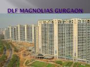 DLF Magnolias