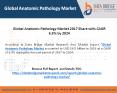 Global Anatomic Pathology Market Is Poised To Grow At 6.3% Till 2024 PowerPoint PPT Presentation