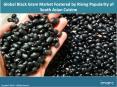 Global Black Gram Market 2018 Trends, Key Players, Product Scope, Growth Rate Outlook, Challenge and Forecast to 2023 PowerPoint PPT Presentation