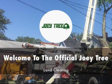 Information Presentation Of The Official Joey Tree