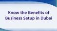 Know the Benefits of Business Setup in Dubai PowerPoint PPT Presentation
