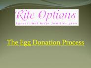 The Egg Donation Process