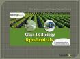 What are Agrochemicals? Biology Notes for Class 12 PowerPoint PPT Presentation