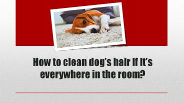 How To Remove Pet Hair?