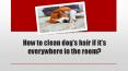 How To Remove Pet Hair? PowerPoint PPT Presentation