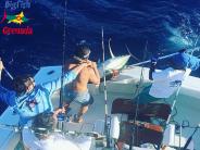 Grenada Fishing Trips