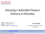 One of The Fastest Flowers Delivery In Mumbai