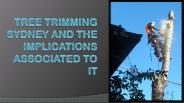 Tree Trimming Sydney and the Implications Associated To It
