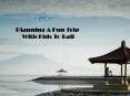 Planning A Fun Trip With Kids To Bali PowerPoint PPT Presentation
