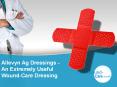 Allevyn Ag Dressings - An Extremely Useful Wound-Care Dressing PowerPoint PPT Presentation