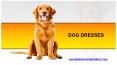 Dog Dresses – Dog Princess Dress PowerPoint PPT Presentation