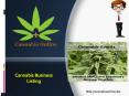 Cannabis Listings PowerPoint PPT Presentation
