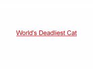 Deadliest Cat on the Planet