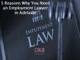 5 Reasons Why You Need an Employment Lawyer in Adelaide PowerPoint PPT Presentation