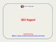 SEO Expert PowerPoint PPT Presentation
