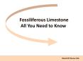 Fossiliferous Limestone All You Need to Know PowerPoint PPT Presentation