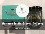 Detail Presentation About Mr. Greens Delivery