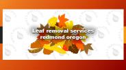 Leaf Removal Services Redmond Oregon