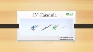 IV Cannula