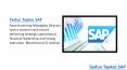 Tayfun Topkoc SAP Award Winning Managing Director PowerPoint PPT Presentation