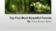 Most Beautiful Forests by Vinay Kumar Rana PowerPoint PPT Presentation